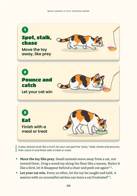 Page 210: a play session built like a hunt in three illustrated steps, spot stalk chase, pounce and catch, eat